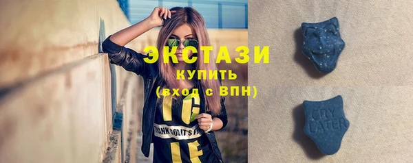 стафф Богданович