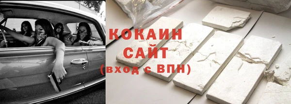 стафф Богданович